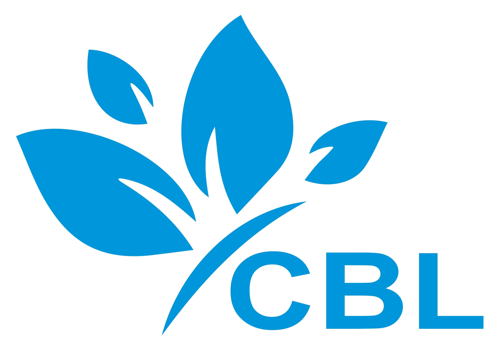 Countrybrother Limited